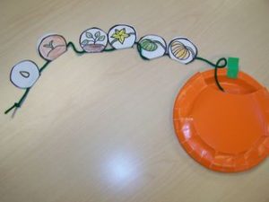 life cycle pumpkin craft 