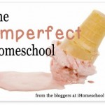 The Imperfect Homeschool