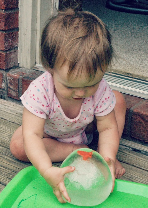 frozen dinosaur egg