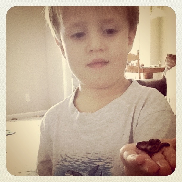 boys with bugs 