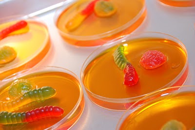 mad science petri dish jello