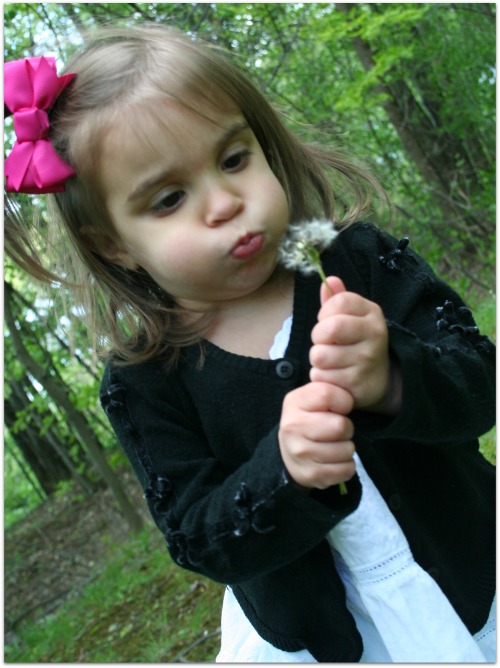  Don't be intimidated by science! Check out these easy tips for nature study with your toddlers and preschoolers.  