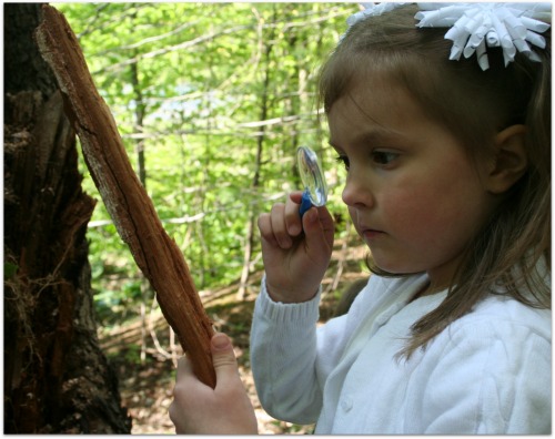  Don't be intimidated by science! Check out these easy tips for nature study with your toddlers and preschoolers.   