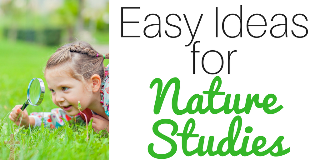  Don't be intimidated by science! Check out these easy tips for nature study with your toddlers and preschoolers.   