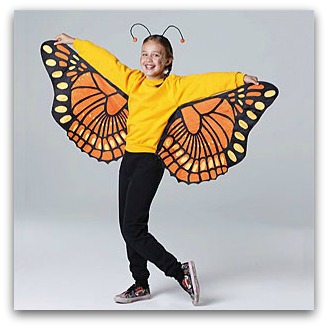 DIY Butterfly costume 