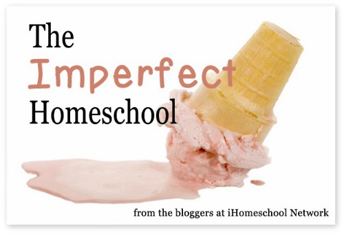 The Imperfect Homeschool