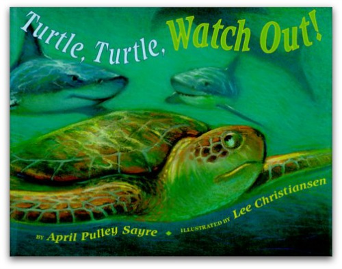 beach books for preschool