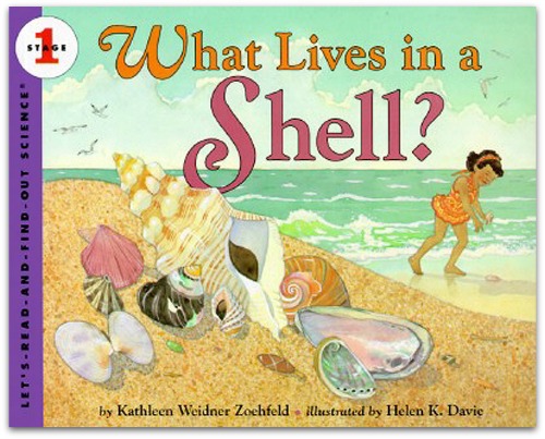 beach books for preschoolers