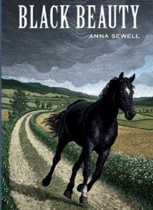 classic horse books for girls 