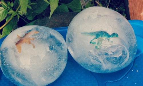 dinosaur frozen eggs