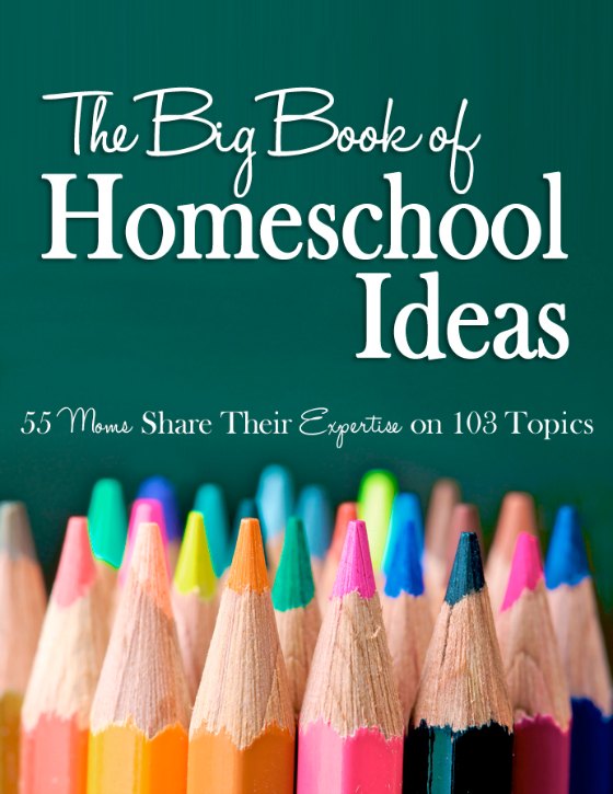 Big Book of Homeschool Ideas.jpg