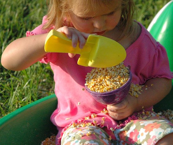 sensory play with corn #playfulpreschool