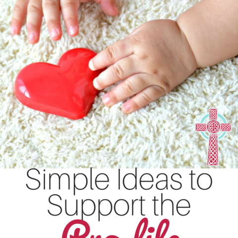 Want to support the prolife movement, but aren't sure how? Take a look at these ideas, perfect for busy moms.