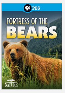 fortress of the bears