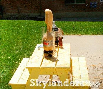 skylanders party activity idea
