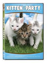 kitten party