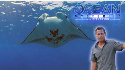 homeschool ocean documentaries