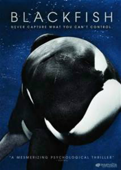 killer whale documentary