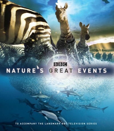 Ocean Documentaries To Watch On Netflix