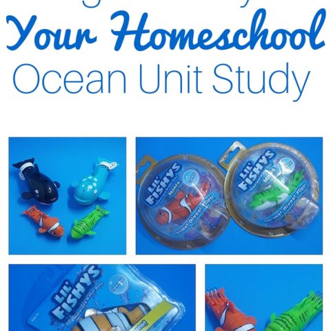 using fish toys in your homeschool ocean unit study
