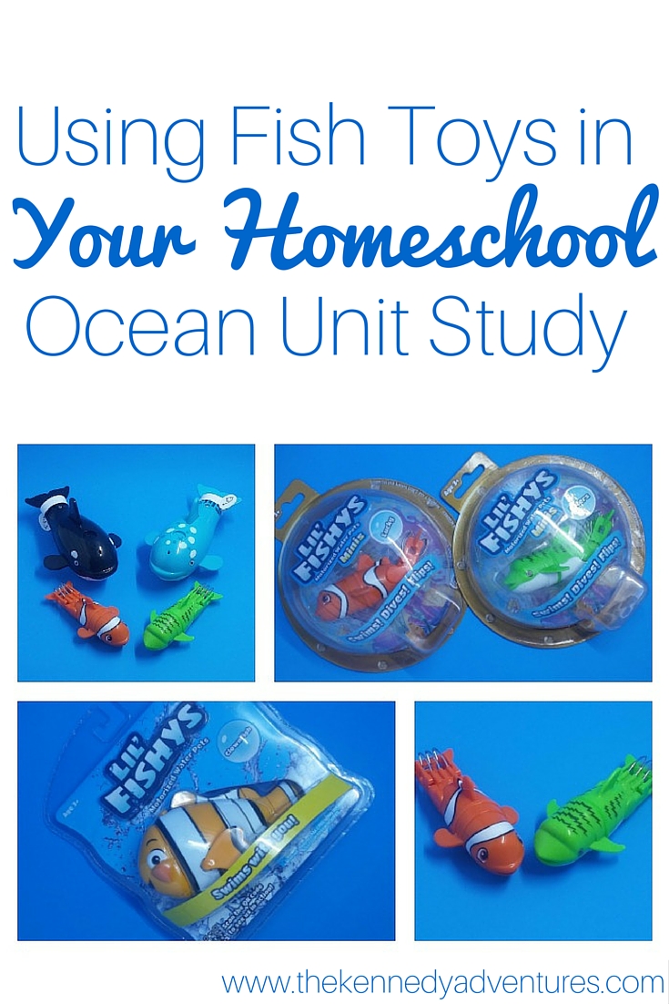 using fish toys in your homeschool ocean unit study