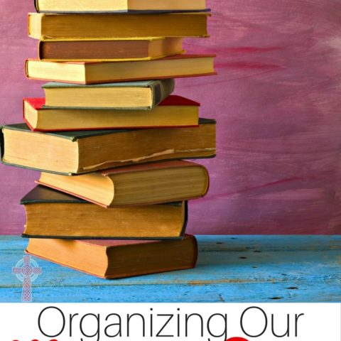 Wondering how to organize your Memoria Press classical homeschool curriculum? Take a look at these ideas.
