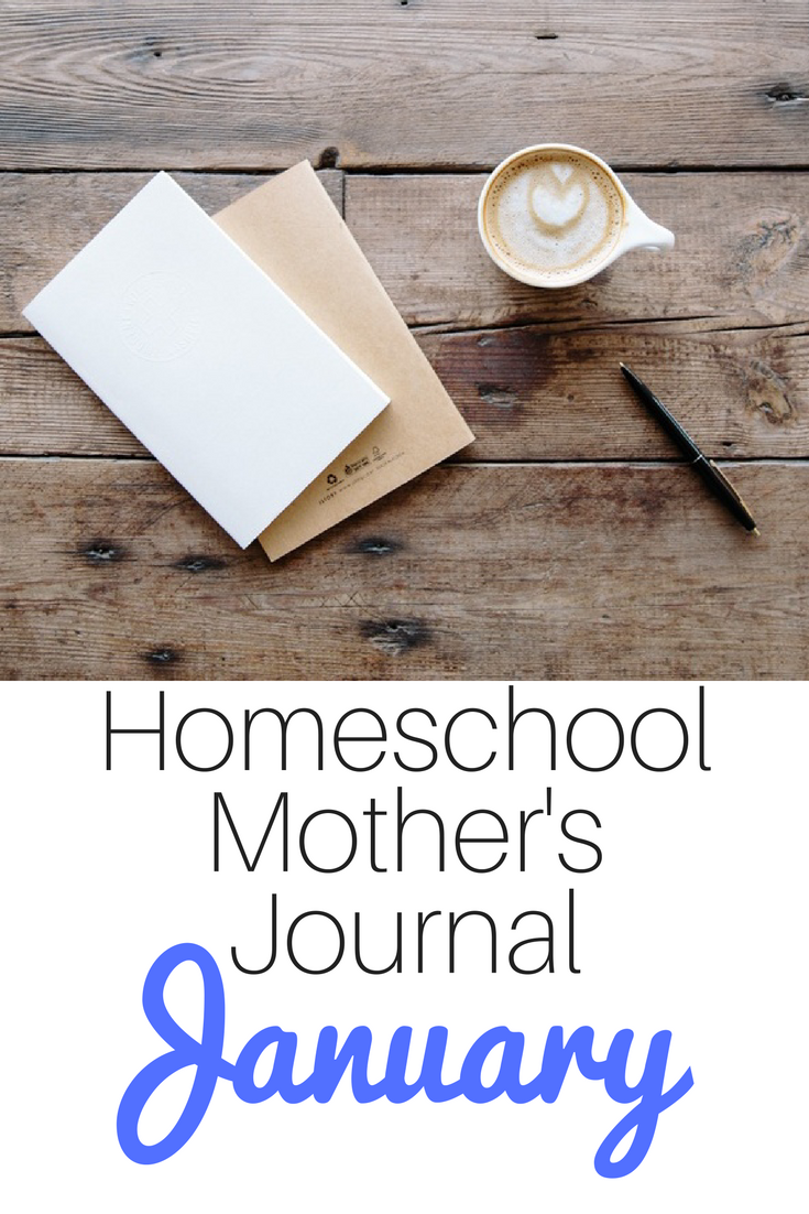 Share what you and your family are doing this month with the Homeschool Mother's Journal --- hosted monthly at iHomeschool Network.