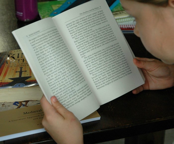 Does your child love to read Why not teach history through literature in your homeschool