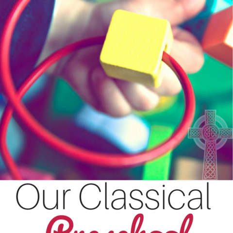Come and take a look at our choices for our classical Christian curriculum for preschool at home.