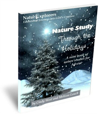 Don't forget about nature study in your Advent plans! 