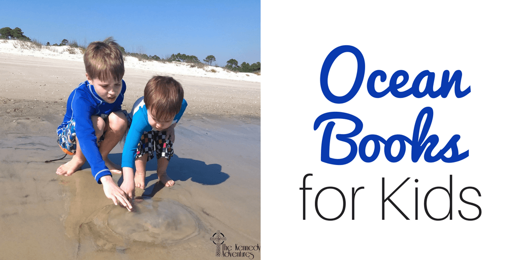 Looking for great ocean board books? We've got you covered! #oceanbooks