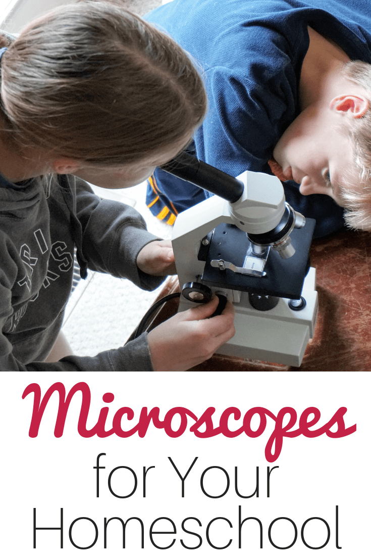 Tips for choosing the perfect microscope for your homeschooling family #homeschoolscience #homeschool