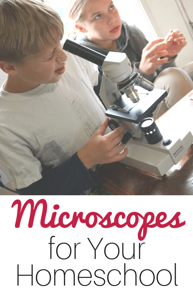 Why You Need a Microscope in Your Homeschool #homeschoolscience #homeschool