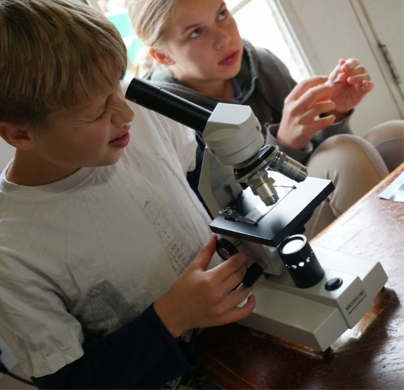 Looking for the best homeschool microscope for your big family? We've got you covered. 