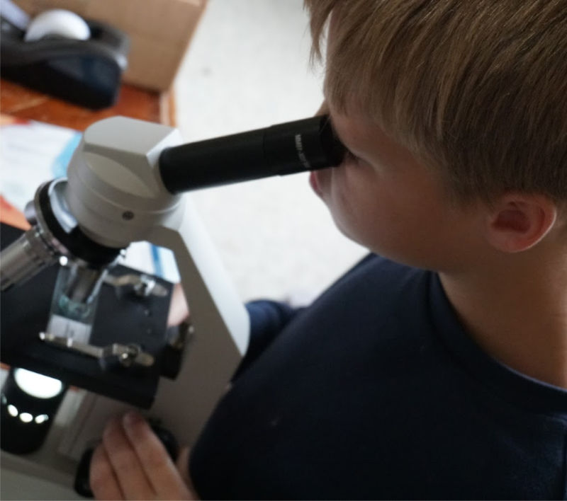 Having toruble choosing a homeschool microscope? Don't miss these tips. #homeschoolscience
