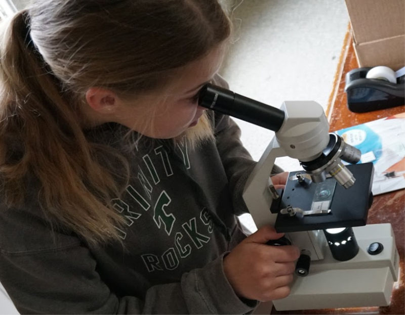 Don't miss these tips for choosing a microscope for your homeschool. 