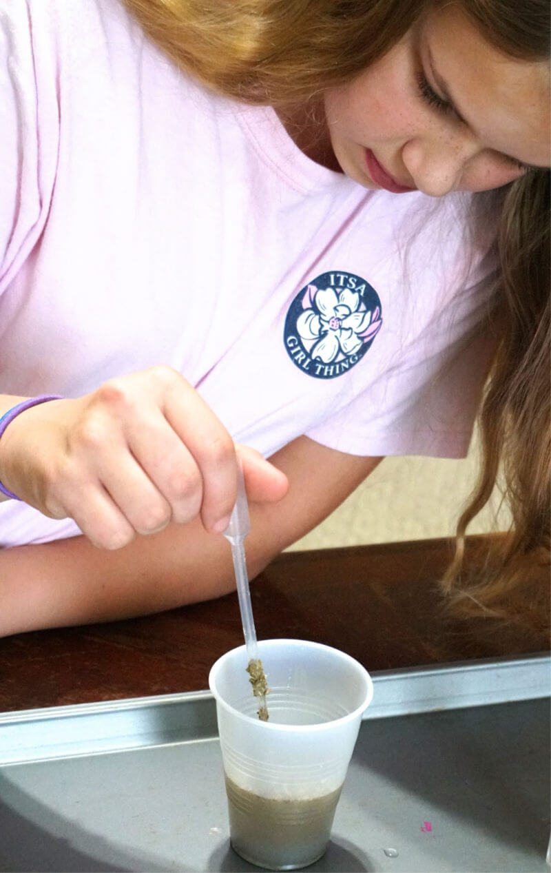 The perfect project for a big family -- protozoa cultures! #homeschoolscience #homeschool