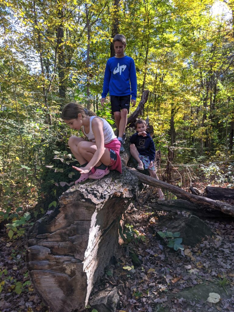 homeschool nature study